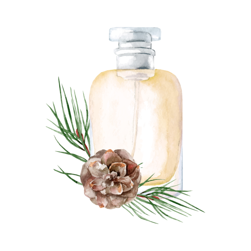 conifer_essential_oil_in_a_bottle_for_cosmetics_relaxing_massage-Photoroom conifer_essential_oil_in_a_bottle_for_cosmetics_relaxing_massage-Photoroom