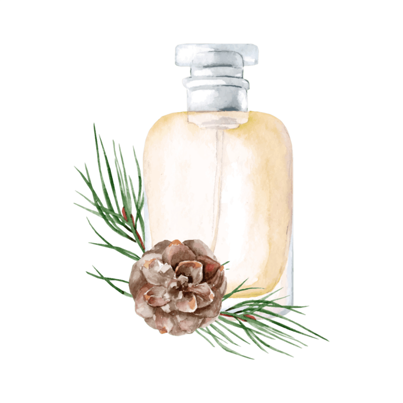 conifer_essential_oil_in_a_bottle_for_cosmetics_relaxing_massage-Photoroom
